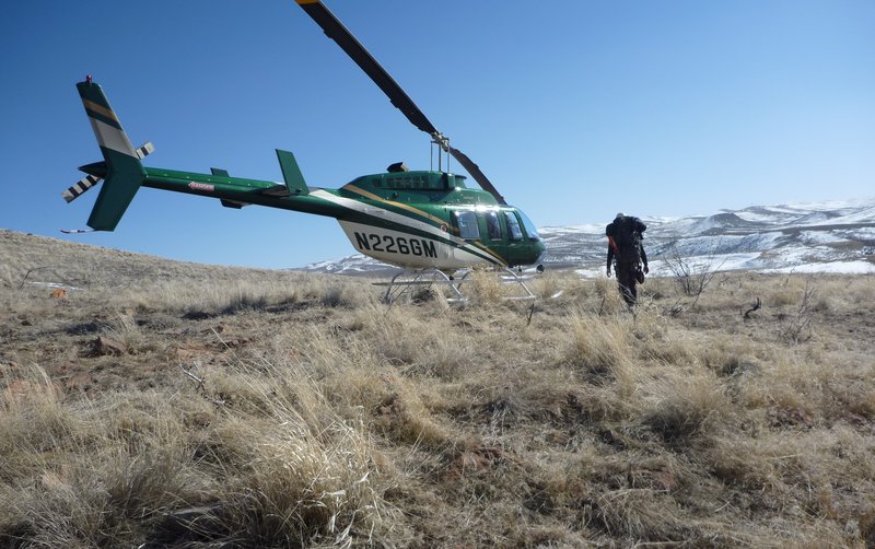 Helicopter raptor nest surveys
